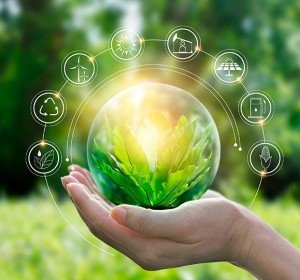 Environment