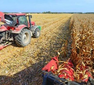 BrasilAgro closes sale of farm in MT for R$ 589 million, biggest deal ever made by the company