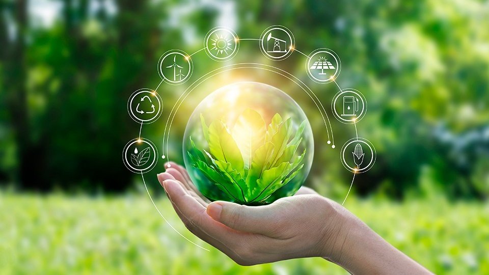 Medio Ambiente