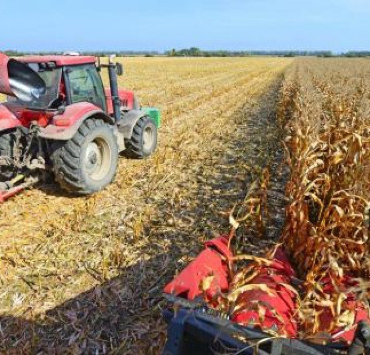 BrasilAgro fecha venda de fazenda em MT por R$ 589 milhões, maior acordo já realizado pela empresa