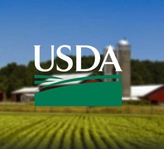 Estudo do USDA destaca liderança do Brasil em produtividade agropecuária