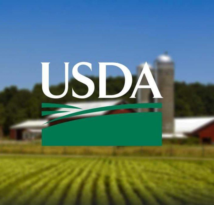 Estudo do USDA destaca liderança do Brasil em produtividade agropecuária